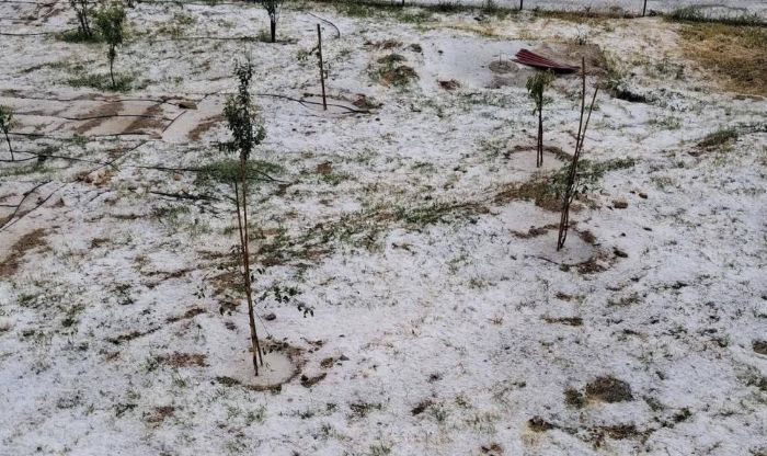 Mersin Erdemli'de dolu tar�m alanlar�na zarar verdi
