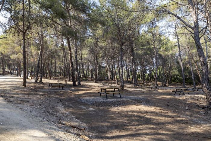 Mersinde Emirler Orman Park Piknik Alannda ate yakmak yasakland