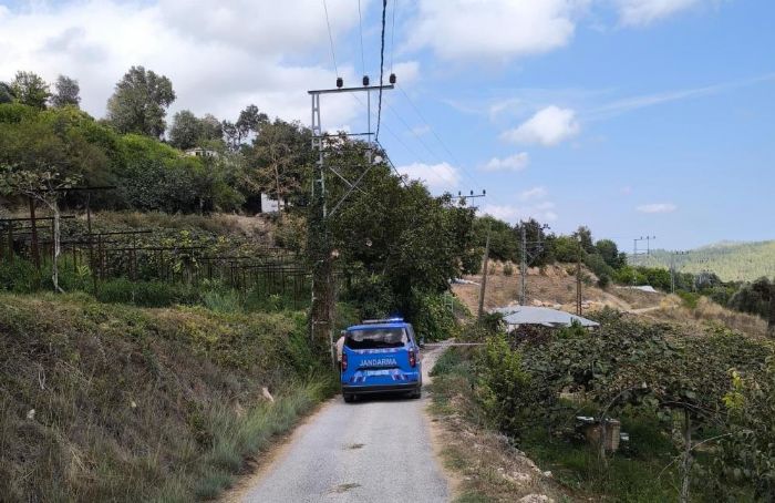 Yeni nianl ifti lm ayrd: nce elektrik arpt, sonra trafik kazas geirdiler