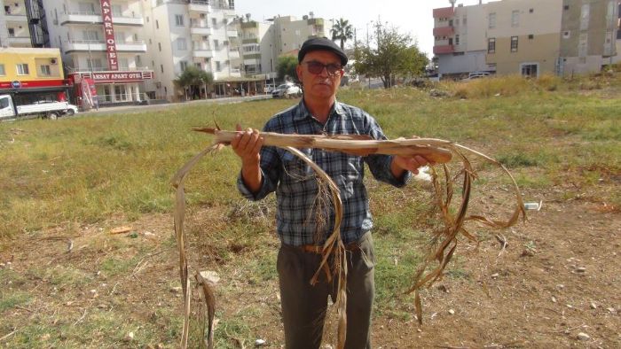 Mersinde bir kii yer alt su kaynaklarn bulabiliyor, bulduunda elektrik arpma dnyor