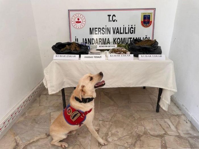 Mersin'de uyuturucu madde operasyonu: 3 gzalt