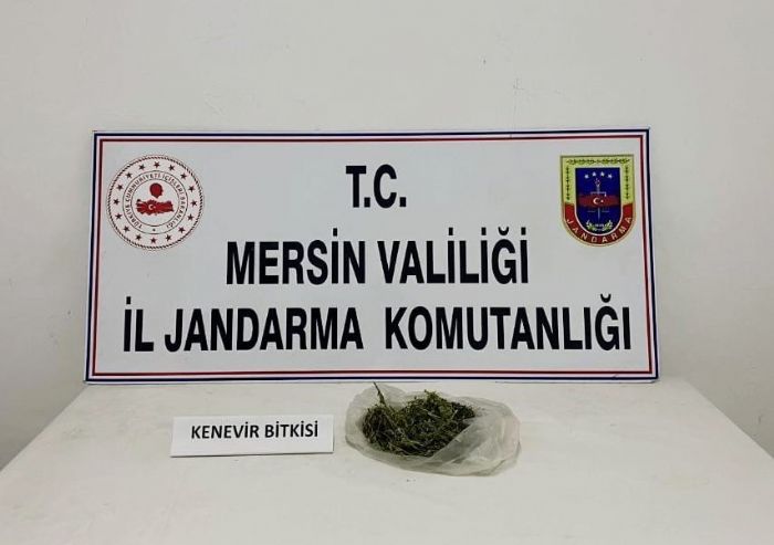 Mersin'de uyuturucu seras kuran pheli yakaland