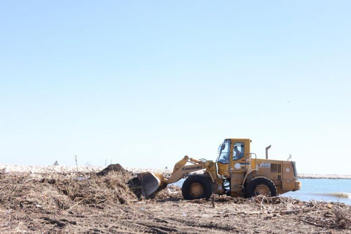 Mersin sahillerinde selin denize ta��d��� bal��klar temizleniyor