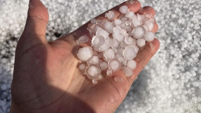 Mersin'de misket b�y�kl���nde dolu etkili oldu: Orman ve bah�eler beyaza b�r�nd�