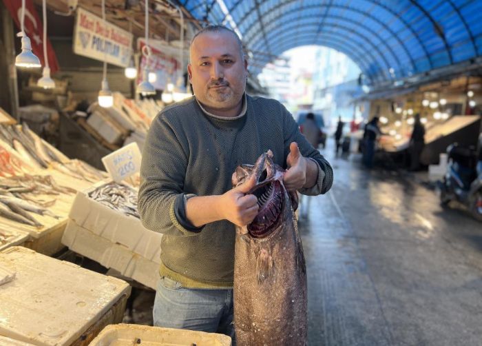 Akdeniz'de 1,5 metrelik Atlas bal��� yakaland�