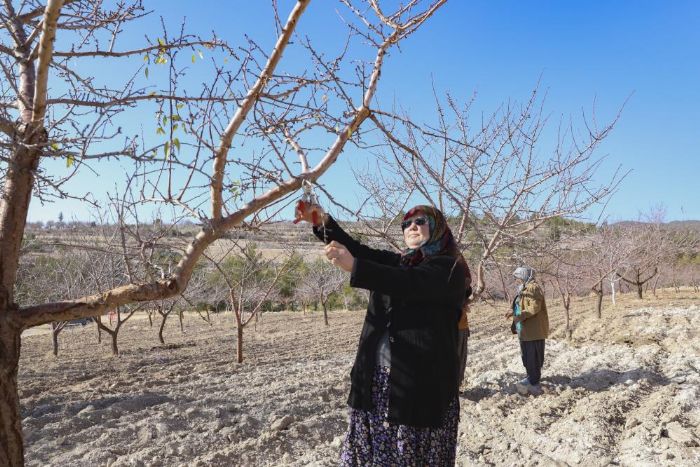 Mersin'de organik tar�m deste�iyle �retim do�alla��yor