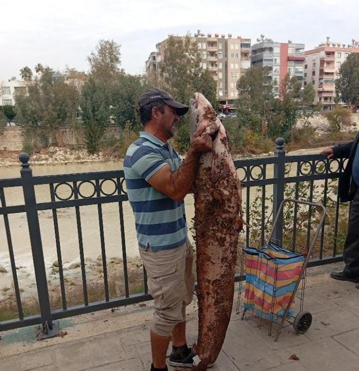 Boyu kadar yayn baln eliyle yakalad