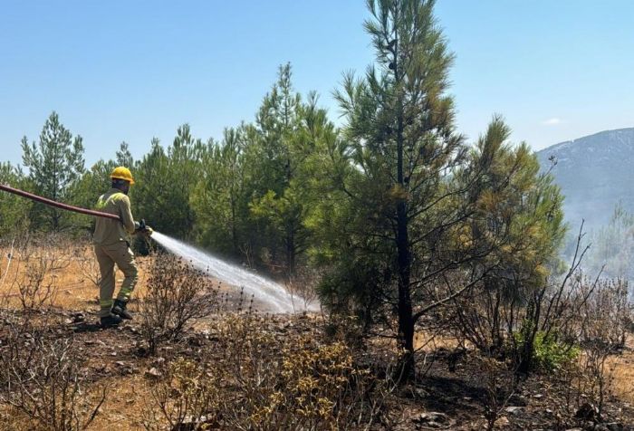 Mersin'de 4 ayr noktada kan orman yangnlar sndrld