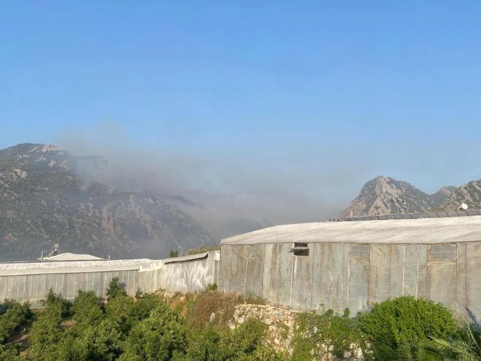 Mersin Anamur'daki orman yangn sryor, ekipler havadan ve karadan mdahale ediyor