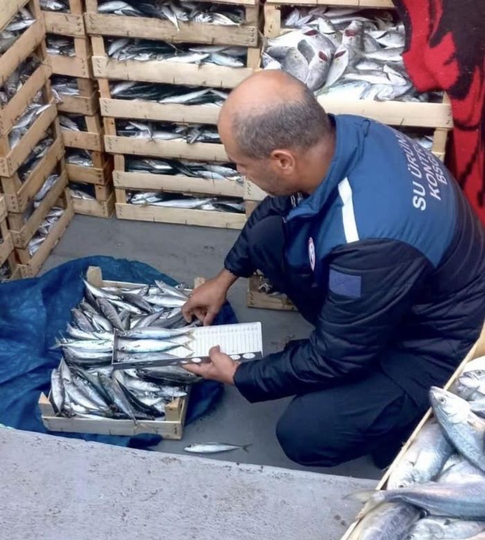 Mersin'de yasa d��� bal�k avc�l���na kar�� denetimler s�r�yor