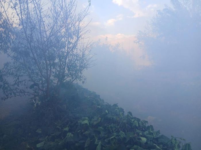 Bozyaz'da kan yangn seralara zarar verdi