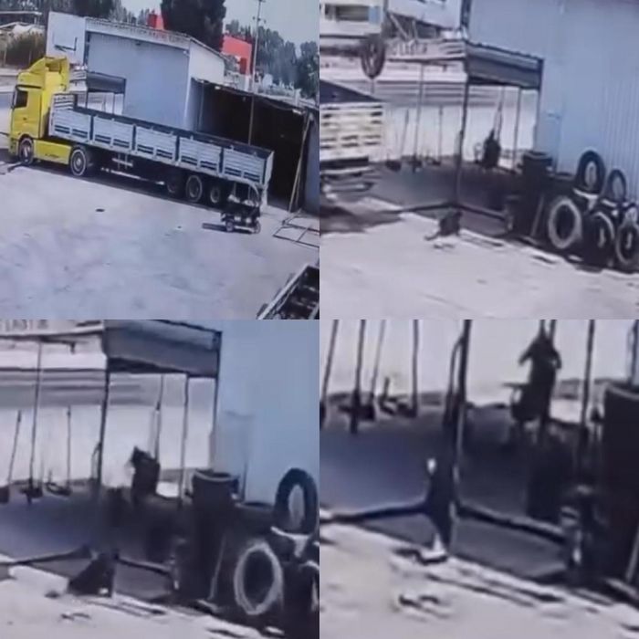 Tamir atlyesindeki ocuun lmne neden olan tr ofr serbest brakld