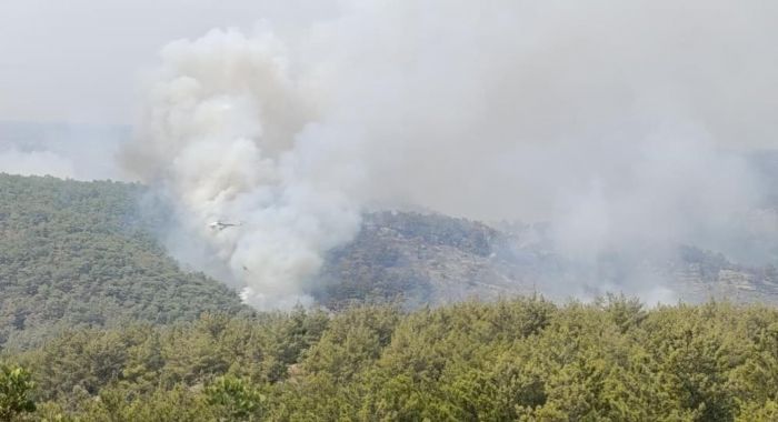 Mersin'de kaynak yaparken orman yangnna neden olan firma sahibi ile 4 kii tutukland