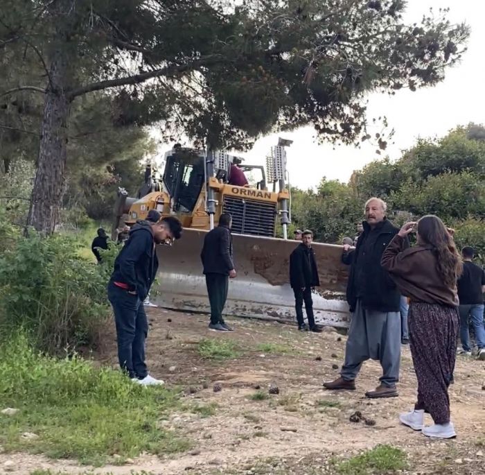 Mersin'de ormanl�k alana ekili narenciye bah�elerinin kald�r�lmas� karar�na tepki