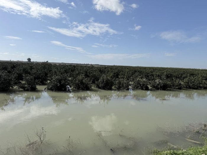 Seyhan Nehri ta�t�, Tarsus'ta tar�m arazileri sular alt�nda kald�