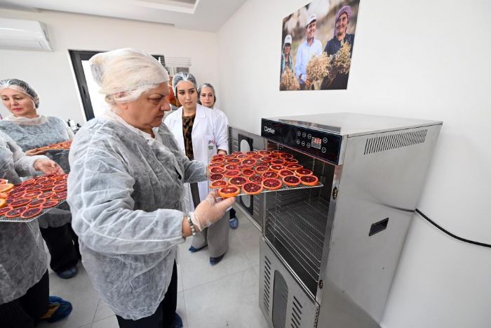 Mersin�de kan portakal� kad�nlar�n elinde de�er kazan�yor