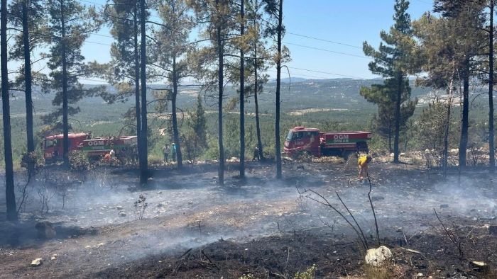 Mersin Glnar'da orman yangn sndrld